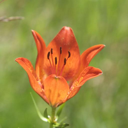 Naturräume schützen