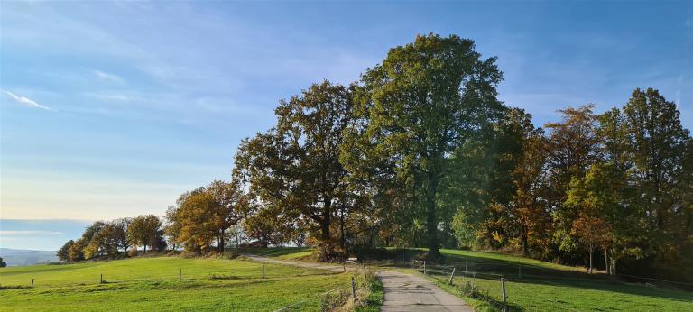 21. Mühlentour zwischen Zschopau- und Flöha